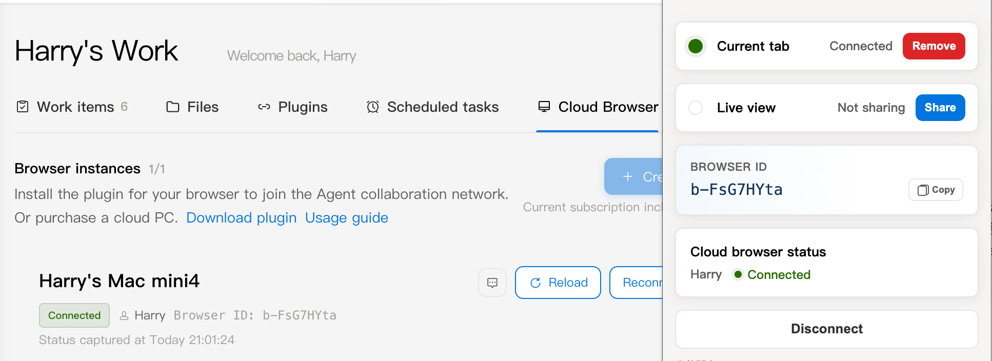 Screenshot of browser collaboration plugin